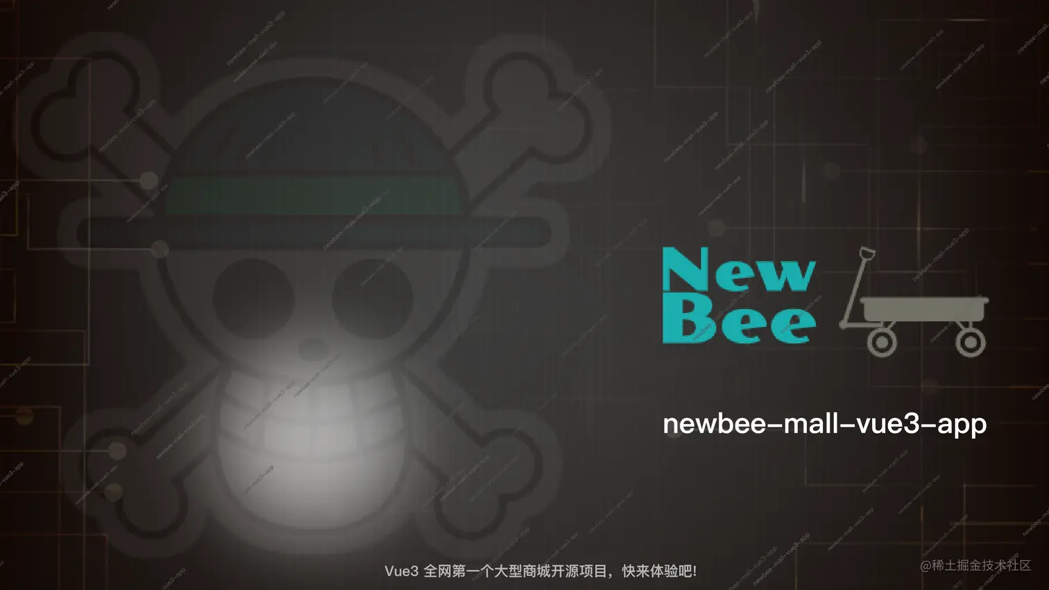 newbee-mall-vue3-app-宣传图