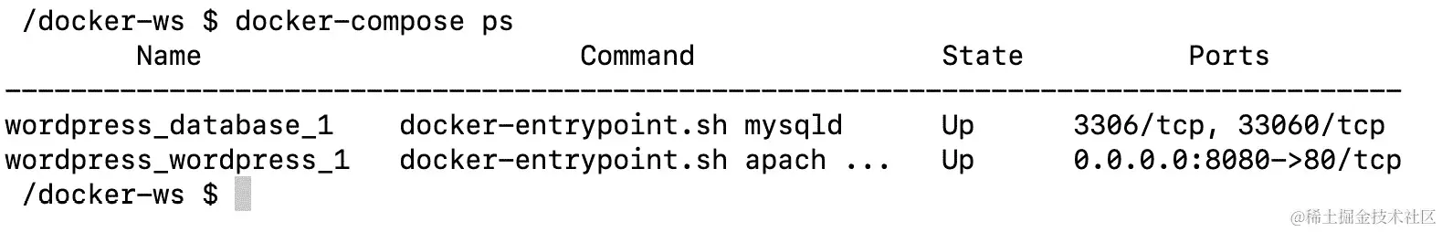 图 5.16：WordPress 和数据库容器
