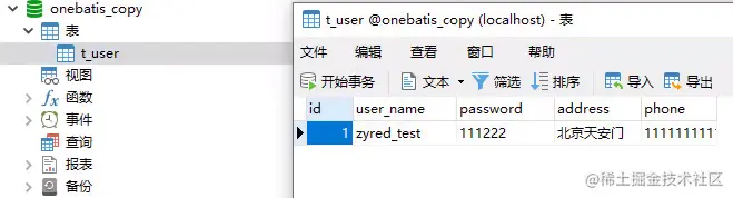 8081 对应数据库