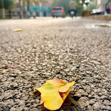 灯火不灭于2022-11-24 14:47发布的图片