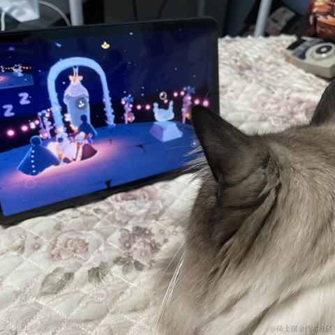 小鲸鱼mm于2022-03-01 16:15发布的图片