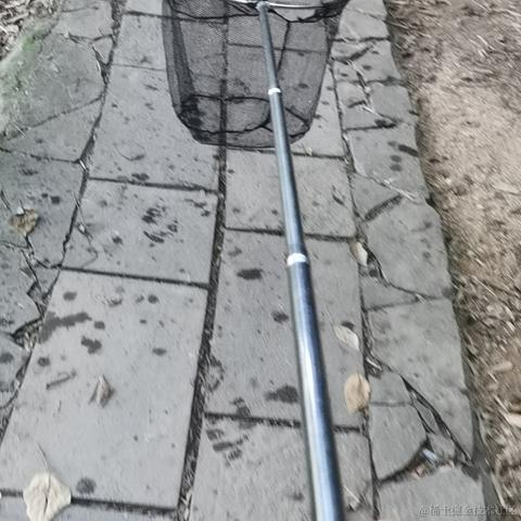 已注销于2021-08-11 18:11发布的图片