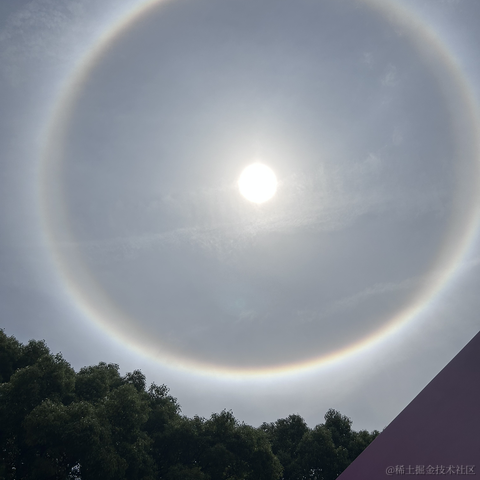 suri于2023-05-13 11:16发布的图片