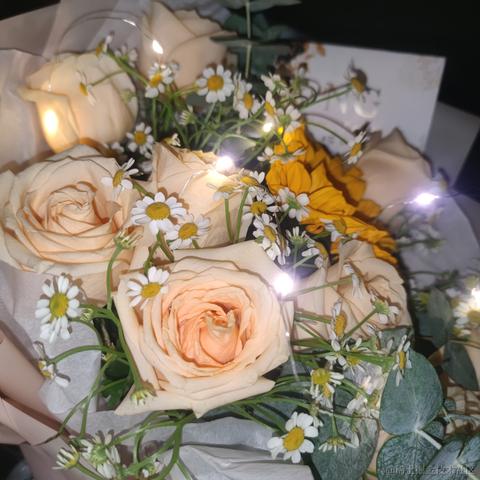 用户1008683613726于2023-04-23 19:48发布的图片