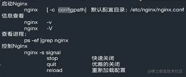 image-20210128154944387