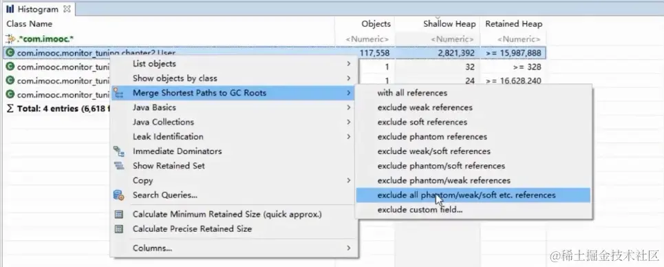 mat根据GC Roots查看对象引用