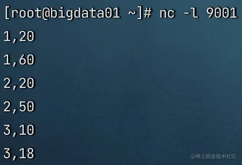 image-20230131224744199