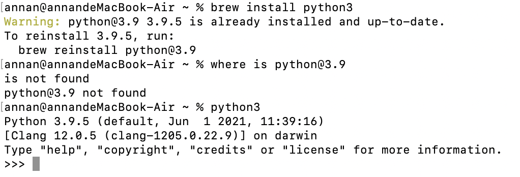 image-20210601143940289