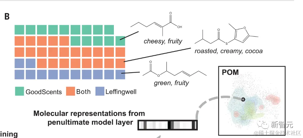 GS-LF香精香料数据库数据库