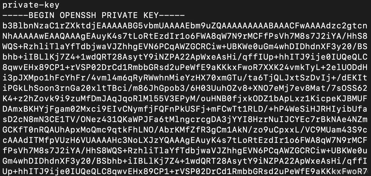 图 10.12：获取 secret-test-pod 的日志