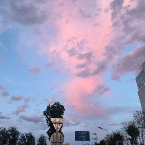 mirai3zZ于2023-06-13 15:12发布的图片