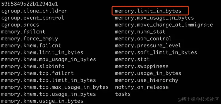 图 1.27：探索 Docker 创建的内存 cgroups