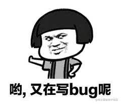 写bug