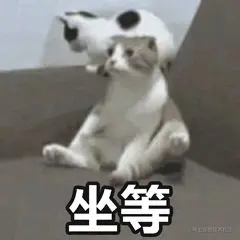 坐等