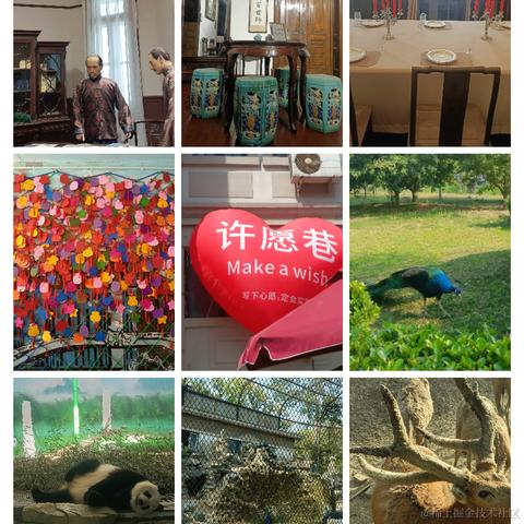 苓翎囹于2023-05-03 23:22发布的图片