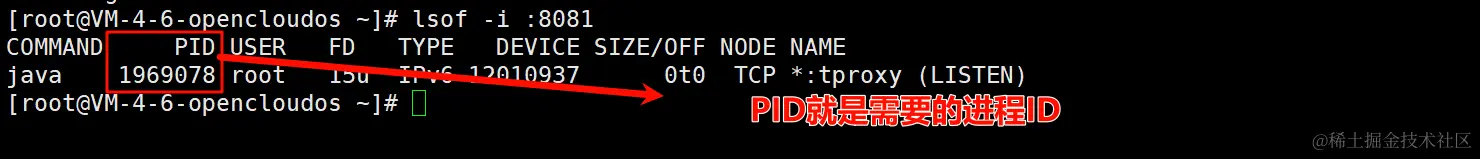 image-20240623191929377