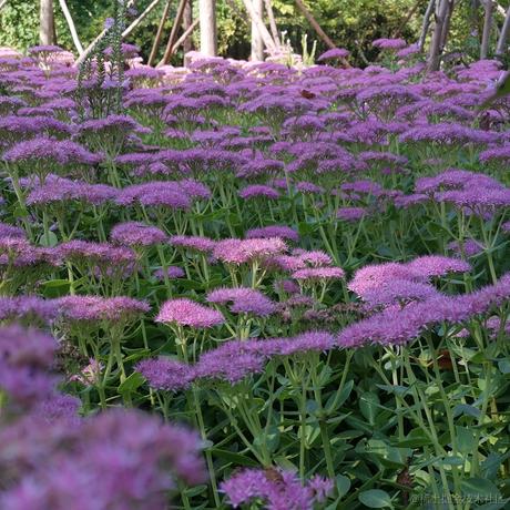 _鱼鱼鱼YU_于2022-11-29 20:43发布的图片