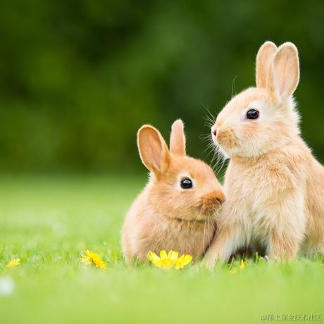 日常嗑瓜子于2021-04-02 11:46发布的图片