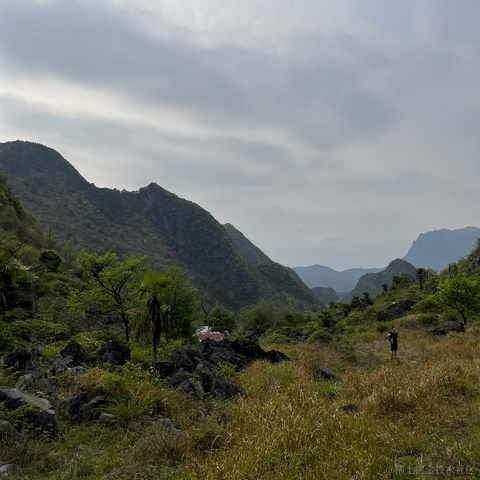 芥末拌饭于2023-03-13 19:26发布的图片