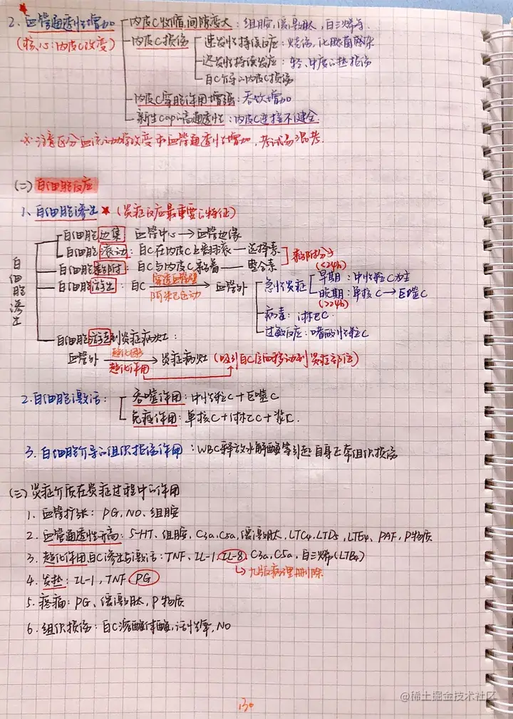 病理手写笔记.pdf