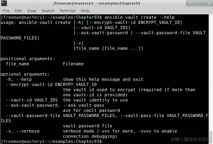 图 3.1 - 创建 Ansible Vault 实例时可用的选项