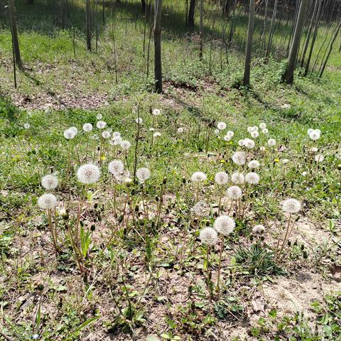 从0开始的go世界于2023-04-19 07:47发布的图片