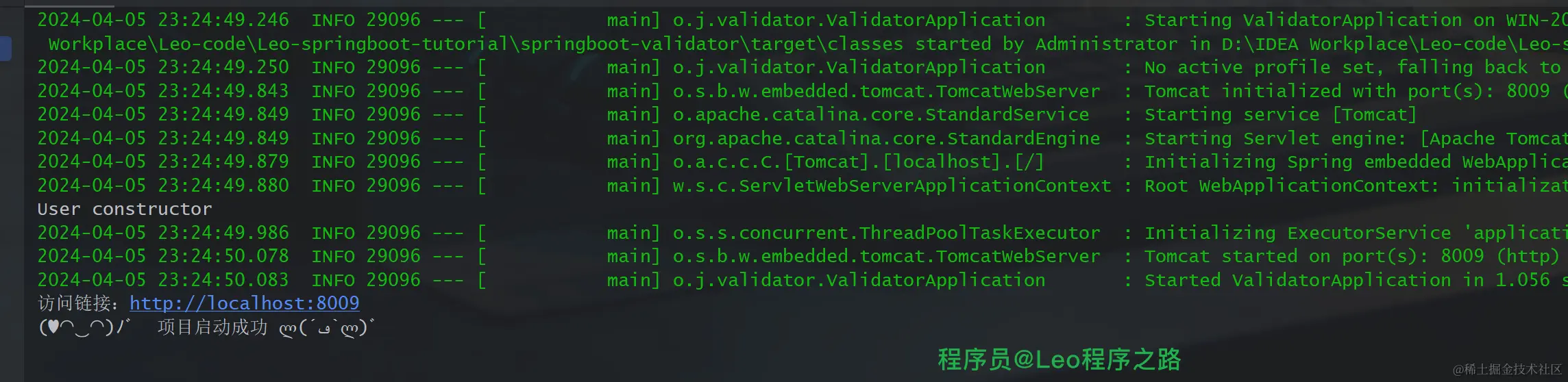 image-20240405232526739