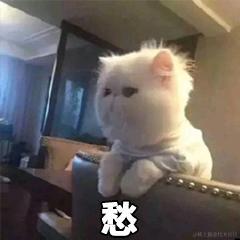 头脑发热于2023-10-16 16:50发布的图片