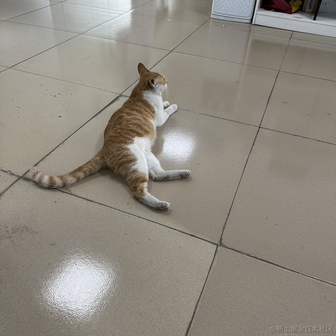 472772于2023-02-28 14:21发布的图片