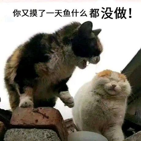 pastezuo酱于2020-11-09 09:28发布的图片