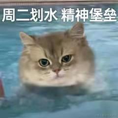 笑不动了于2022-08-16 08:30发布的图片