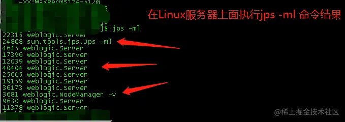 Linux服务器上面执行jps -ml命令结果