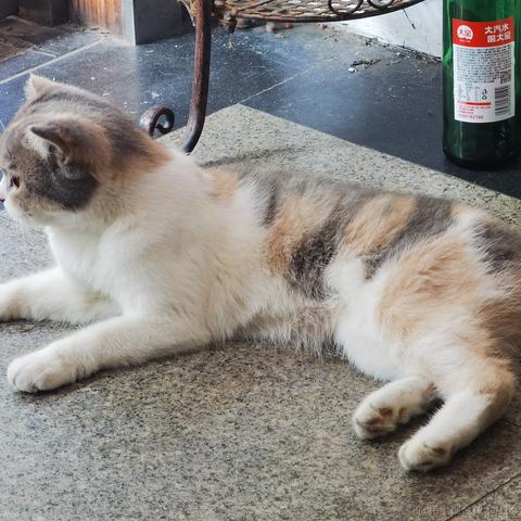 你好我就要起飞了于2022-08-05 08:18发布的图片