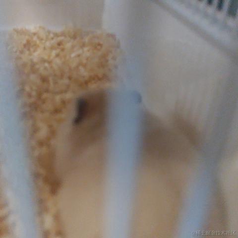 爱吃土豆丝呦于2024-06-23 19:39发布的图片