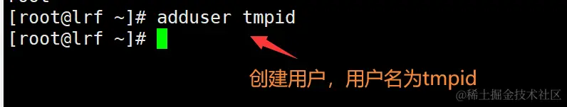 image-20220301195555947