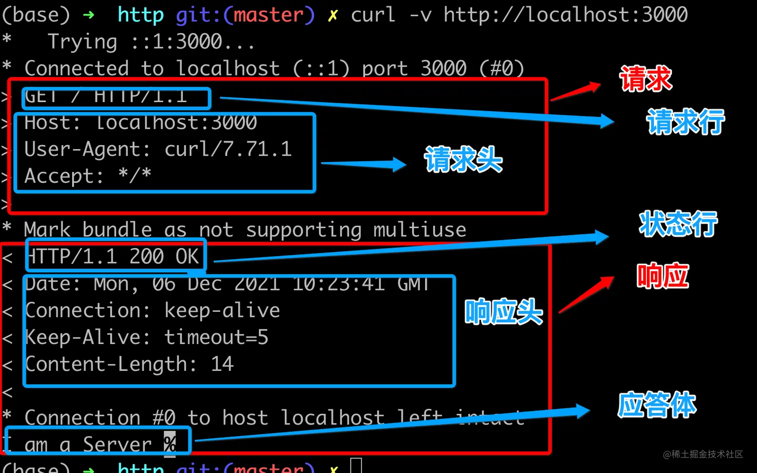 image-20211206183005813