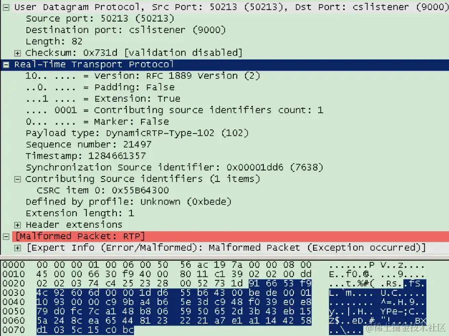 RTP 数据包负载g