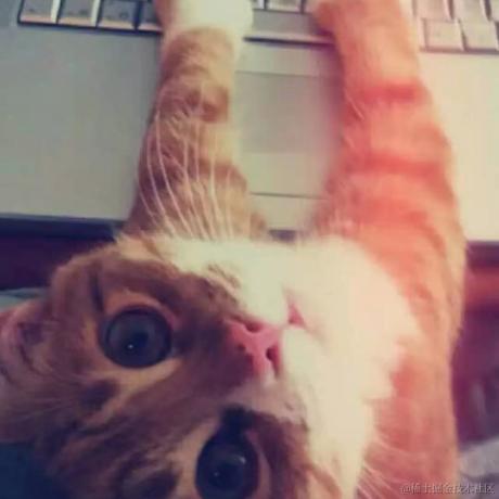 vaelcy于2022-07-08 10:44发布的图片