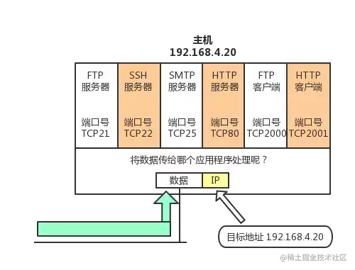 太厉害了，终于有人能把TCP/IP 协议讲的明明白白了