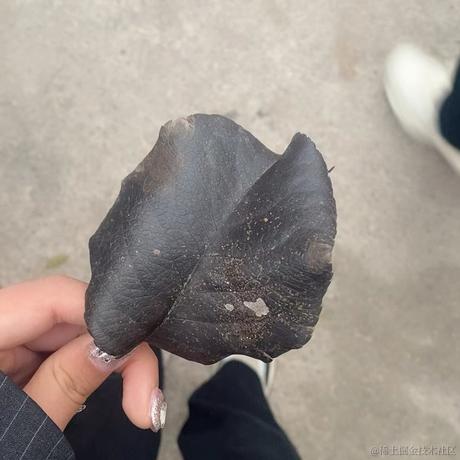 晚点吃饭达咩于2022-11-15 11:03发布的图片