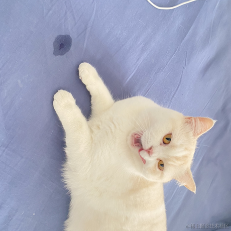 点点是只猫于2022-11-18 23:39发布的图片
