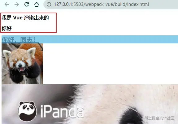 image-20211121221207306