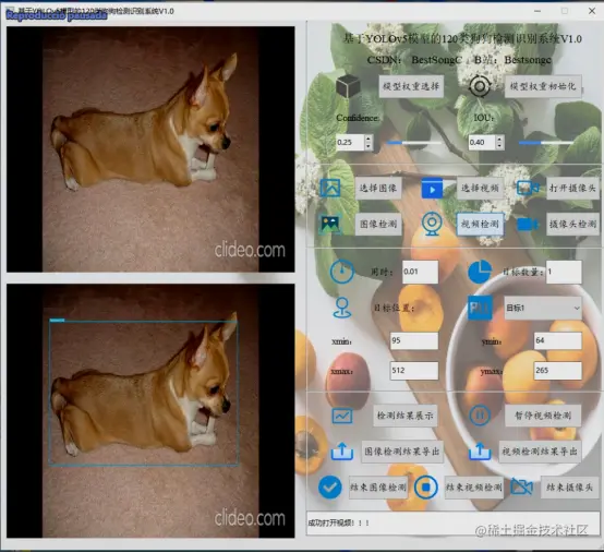 基于YOLOv5模型的120类狗狗检测识别系统V1.02520.png