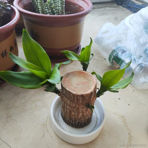 当代恶臭毕业生于2024-07-03 07:11发布的图片