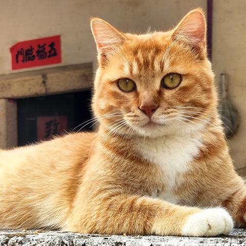 欣琳有乃宝捏于2022-12-01 22:10发布的图片