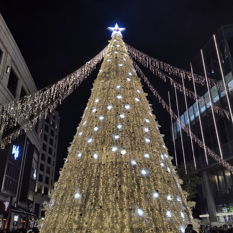 ArrrrrU于2022-12-07 00:37发布的图片