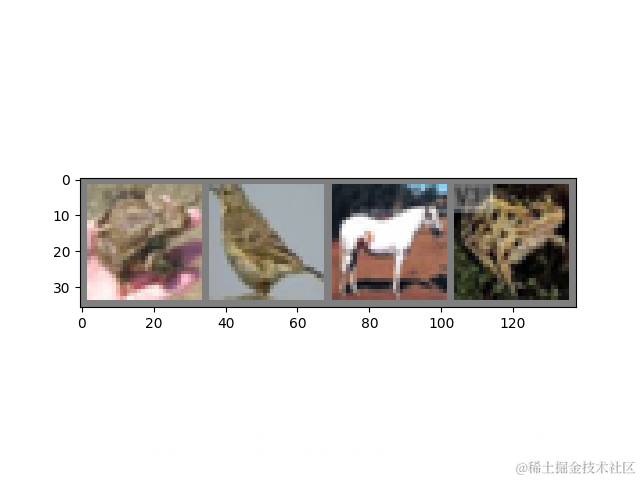 打印四种动物的图像