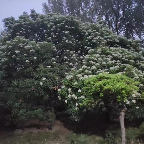 掘金齐天大圣于2023-05-30 22:07发布的图片